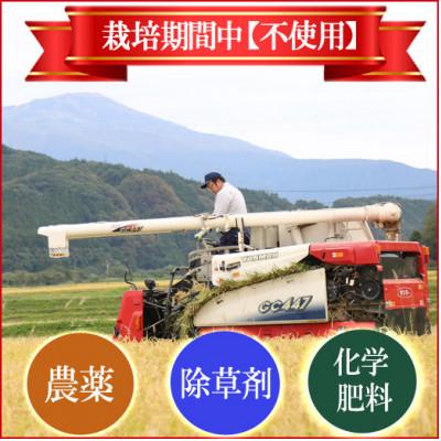 ふるさと納税 酒田市 【栽培期間中農薬不使用】コシヒカリ 精米5kg 大粒LLサイズ以上厳選 令和7年産 |  | 02