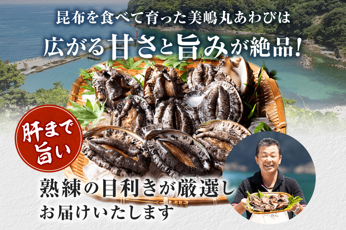 【冷蔵 活あわび 養殖 9.5cm×2枚 200～240g (1個100～120g）】満点青空レストラン うまい！おせち2023に採用されました 新鮮 レシピ入り 香美町 香住 山陰 活アワビ 海鮮 