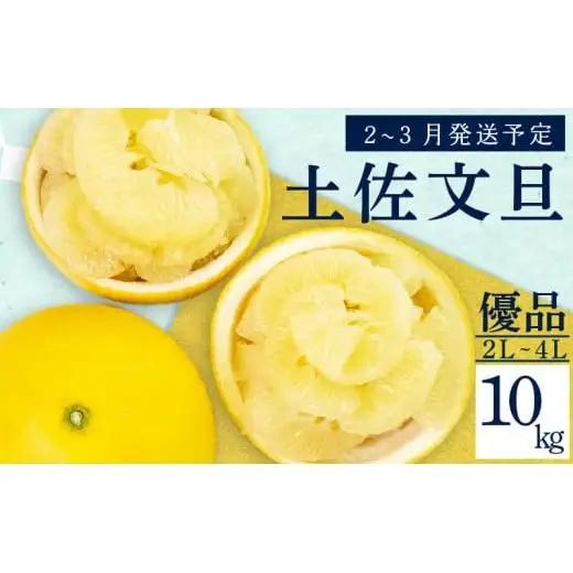 【 先行予約 】 土佐文旦 優品 10kg 高知県産 柑橘 KN002-x