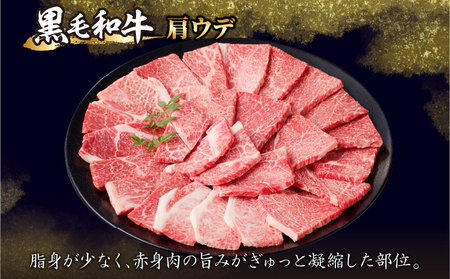 生産者応援≪肉質等級4等級以上≫黒毛和牛赤身焼肉(計1kg) 肉 牛 牛肉 国産_T030-093