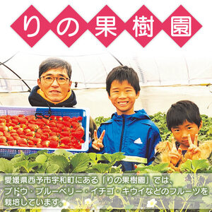 愛媛オリジナルブランドいちご「紅い雫」が40％も入った贅沢アイス（10個セット） URK0004