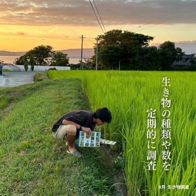 ふるさと納税 佐渡市 新潟県佐渡産 令和7年産 【亀の尾】 玄米 5kg |  | 03