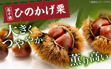高千穂・ひのかげくり（9月限定）_Tk004-068