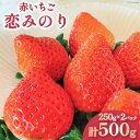 【ふるさと納税】【好評により受付再開】 いちご 赤いちご 恋みのり 250g×2パック [トトノウ 長崎県 雲仙市 item1414] 苺 イチゴ クリスマス フルーツ 果物 くだもの 期間限定 季節限定