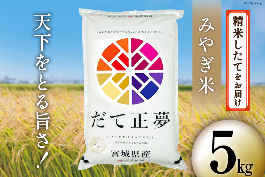 米 宮城県産 だて正夢 5kg [菊武商店 宮城県 気仙沼市 20564852] お米 こめ コメ 白米 精米 ブランド米 ご飯 ごはん 小分け 家庭用