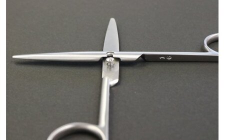 ハサミ すみだモダン 職人が大切な人に贈ったはさみ 普段用 石宏製作所 はさみ 鋏 刃物 文具 文房具  雑貨 日用品 民芸品 工芸品 