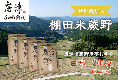 特別栽培棚田米「蕨野」5kg×４袋(合計20kg) 家庭排水が一切入らない自然水で作られたお米 10日に1回精米で新米のような味わい