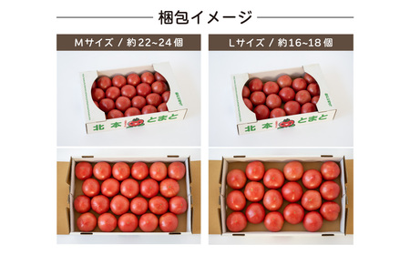 トマト 詰め合わせ 桃太郎はるか Mサイズ(約22～24個) 約計4kg | トマトトマトトマトトマトトマトトマト