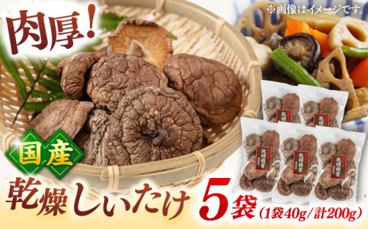 乾燥 椎茸  シイタケ  どんこ  きのこ 乾燥しいたけ