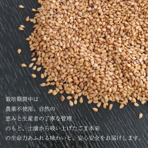 ごま 35g×5個 金胡麻 ごま 胡麻 ごま