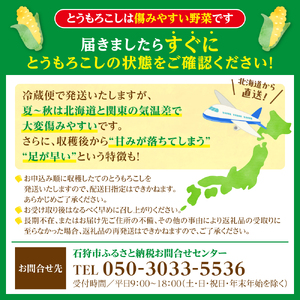 石狩産 スイートコーンとうもろこし（2.0kg以上 約5～6本）｜トウモロコシ とうきび 北海道 石狩市