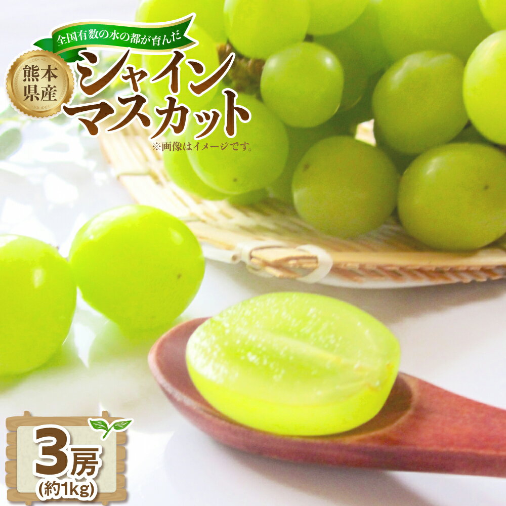 【ふるさと納税】熊本県産シャインマスカット約1kg（3房） 【2026年8月下旬発送開始】 熊本県産 国産 シャインマスカット マスカット ぶどう ブドウ 葡萄 おやつ 果物 果実 フルーツ 3房 1kg 九州 熊本県 送料無料