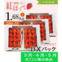 【ふるさと納税】いちご イチゴ 苺 ★3月・4月・5月発送★ 掛川産完熟いちご「 ミズノ農園 の 紅ほっぺ 」280g×6パック （計1680g） （ 人気 くだもの フルーツ ストロベリー 掛川市 静岡 ）