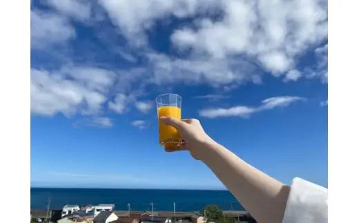 濃厚♪【マルチ・不知火の2種ストレートジュース：ミニ詰め合わせ】180ml×6本 　（化粧箱）【kmkn0087】