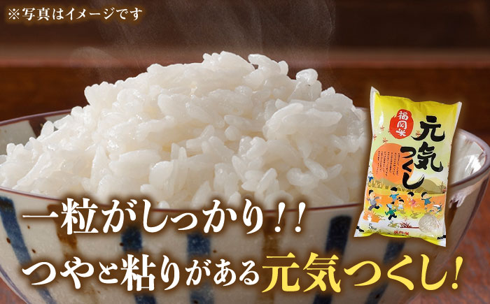 【先行予約】【令和7年産】福岡県産ブランド米「元気つくし」白米 10kg (5kg×2袋)【2025年11月以降順次発送】《築上町》【株式会社ゼロプラス】 [ABDD003] お米 白ご飯 元気つくし ブランド米 おにぎり42000円