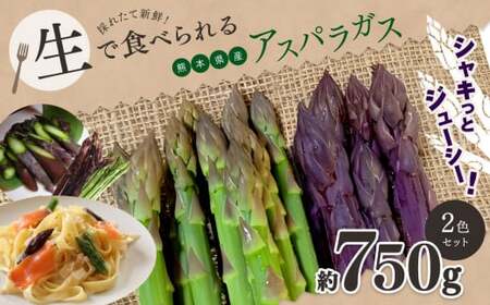 生で食べれる !! アスパラガス 2色 セット（ グリーン ・ パープル  ）約 750g | 新鮮 アスパラ 野菜 アスパラガス ソムリエ 健康 熊本県産 熊本 玉名