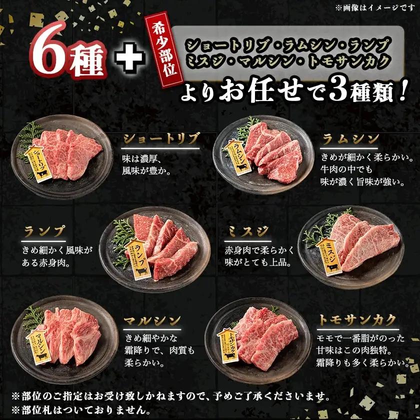 宮崎牛焼肉食べ比べ9種盛〔32-31-007〕_(都城市) 宮崎県産 宮崎牛 A4ランク 焼肉 セット 肩ロース カルビ ザブトン 内モモ サーロイン イチボ 6種類 お任せ にくほんぽ黒たれ 9種 