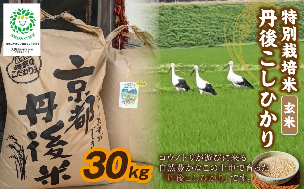 
                  【先行予約】令和8年産 丹後こしひかり 玄米30kg 【特別栽培米】新米 玄米 こしひかり 30キロ 特別栽培 玄米 2026年産 ふるさと納税 こしひかり ふるさと納税　KU00100
                