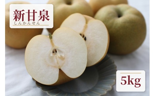 【クール便発送】鳥取県産新甘泉梨５ｋｇ