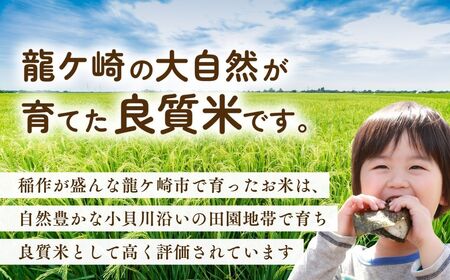 ＜3ヵ月定期便＞【令和7年産】お米マイスターセレクト茨城産コシヒカリ(精米10kg) | お米 ごはん 米 白米 ご飯 コシヒカリ お米マイスター 厳選米 人気 茨城県産 龍ヶ崎市産 農家直送 産地直