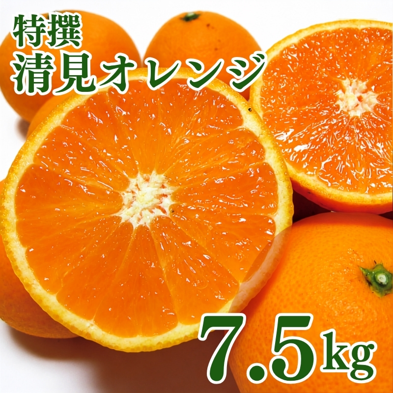 特撰　清見オレンジ 7.5kg+200g(補償分)【2027年2月下旬～5月上旬頃に順次発送予定】【ard262】