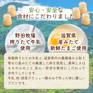 酪農家が本気で作った ミルク プリン 12個 プリンプリンプリン
