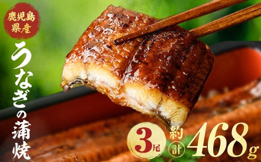 
                  鹿児島県産うなぎ蒲焼 (計約468g / 約156g×3尾) 鰻 ウナギ うなぎ【薩摩川内鰻】 A1113
                