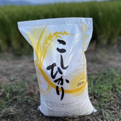 ふるさと納税 五泉市 【毎月定期便】新潟県産コシヒカリ　5kg全6回