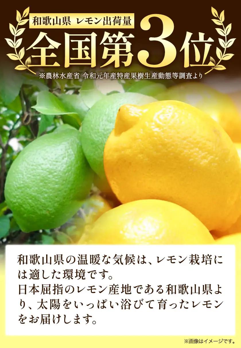 有田産 レモン 約 3kg 厳選館 レモン 檸檬
