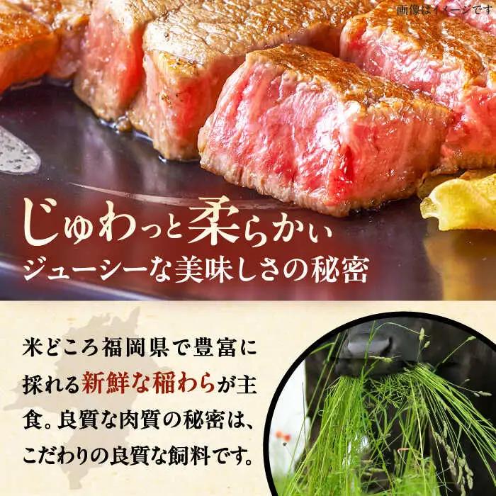 【全10回定期便】博多和牛 サーロイン ステーキ 200g × 2枚 [ADBM005] 牛 定期便