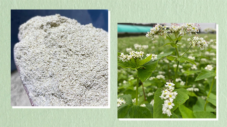 常陸秋そば 生そば 田舎そば せいろ 食べ比べセット 約 12人前 300g×6 蕎麦 生めん 田舎そば せいろ [BI005sa]