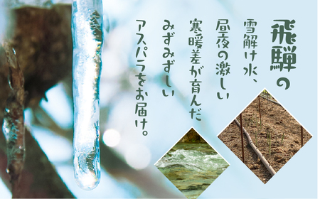《先行予約》令和8年産 サイズ不揃い アスパラ450g  訳あり アスパラ [Q1821x_26]