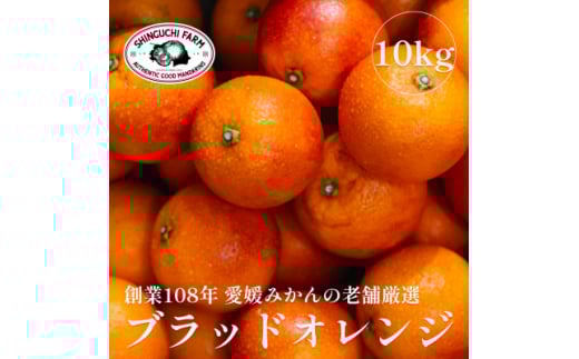 創業百八年 愛媛みかんの老舗＜ブラッドオレンジ 10kg＞ 新口農園＜G70-19＞【1470694】