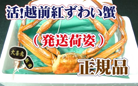 活！越前 紅ずわいがに × 1杯 旨味満点！！【6月発送分】【紅ズワイガニ 紅ずわい蟹 かに カニ 蟹 姿 生 ボイル 冷蔵 福井県】【浜茹でお届け】希望日指定不可 [e37-x002_06b]