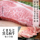 【ふるさと納税】熊本県産黒毛和牛セットB　サーロイン600g＋リブロース500g