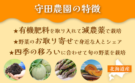 【2024年7月中旬～発送】北海道 ふらの 赤肉メロン 2玉入り 約2kg×2玉 (守田農園) メロン フルーツ 果物 新鮮 甘い 贈り物 ギフト 道産 ジューシー おやつ ふらの ブランド 夏 