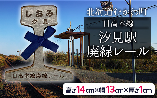 第2弾 日高本線廃線レール 厚さ1cm（限定品） MKWG030