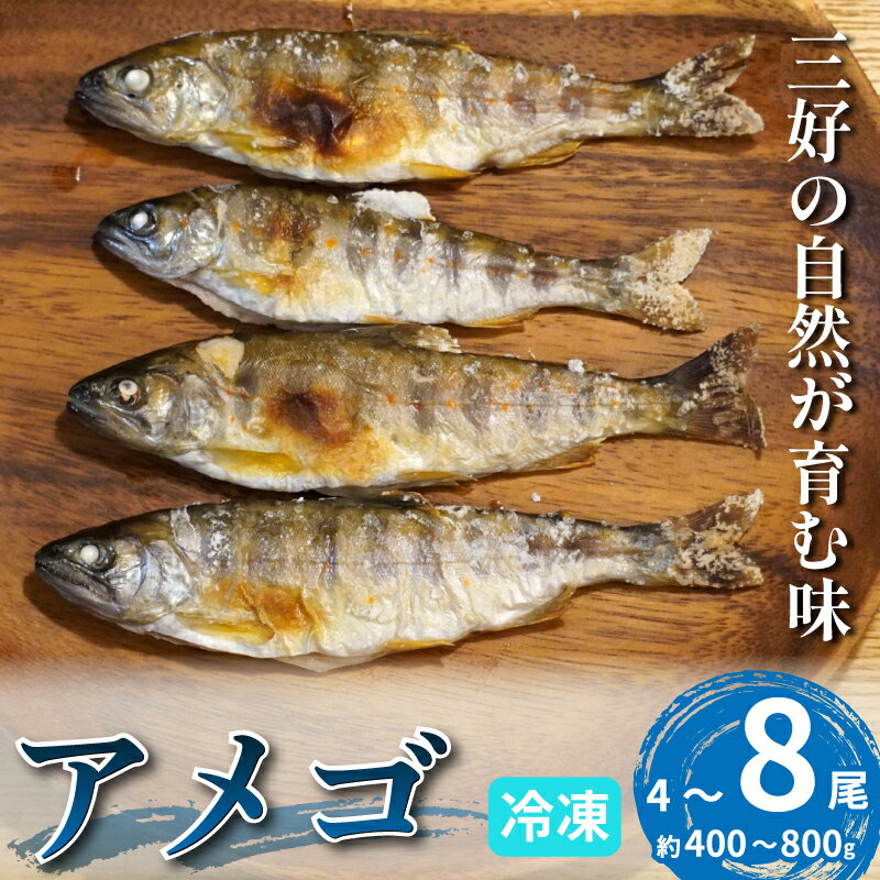 【ふるさと納税】 川魚 あめご 4尾 ～8尾 約400g ～800g 天魚 アマゴ 魚 魚介 塩焼き 唐揚げ アウトドア バーベキュー BBQ キャンプ 国産 酒 ビール おつまみ 弁当 惣菜 おかず 冷凍 徳島県 三好市 みよし miyoshi