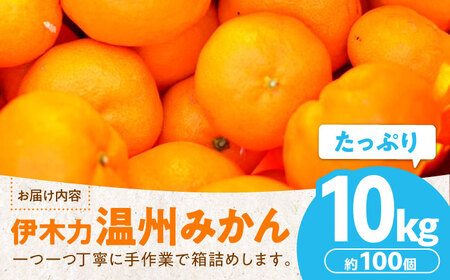 伊木力温州みかん 10kg（ご家庭用）/ みかん ミカン 蜜柑 フルーツ 果物 / 諫早市 / 末永果樹園 [AHBD001]