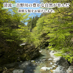 鮎 天然あゆ 1袋 400g 清流 釣り鮎 川魚 鮎 鮎 鮎 鮎