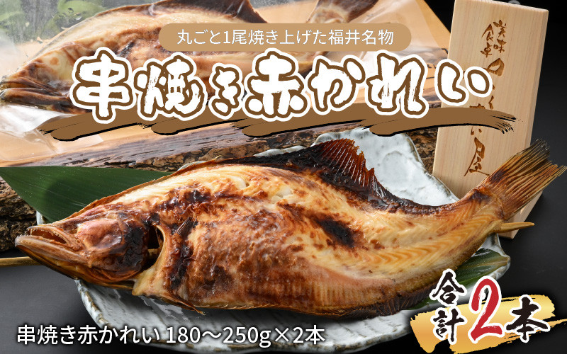 
丸ごと1尾焼き上げた福井名物 串焼き赤かれい 2本【 伝統食 焼がれい 赤ガレイ かれい丸ごと 風味豊か 福井名物 冷凍配送 郷土料理 ローカルフード 】 [A-065028]
