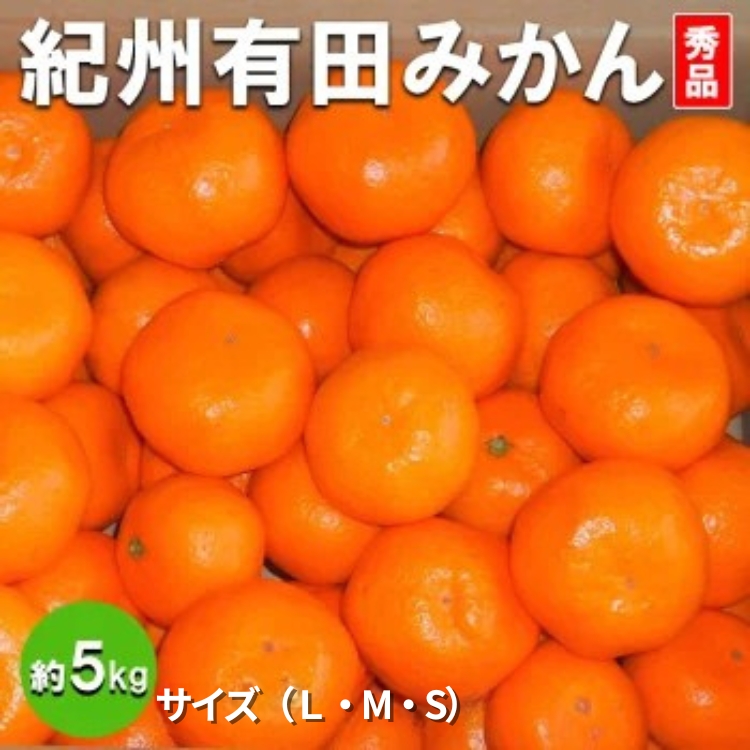 紀州有田みかん 秀品 約5kg(Ｌ・М・S)