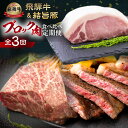 【ふるさと納税】 飛騨牛 & 結旨豚 定期便 3回 お届け 白川郷 ブロック 肉 焼肉 焼き肉 やきにく もも ロース 赤身 霜降り 食べ比べ 牛肉 国産 A4 A5 等級 てんから 岐阜県 白川村 ゆいうまぶた 贅沢 BBQ アウトドア 冷蔵 簡易梱包 のため 訳あり 訳アリ 41000円 [S576]