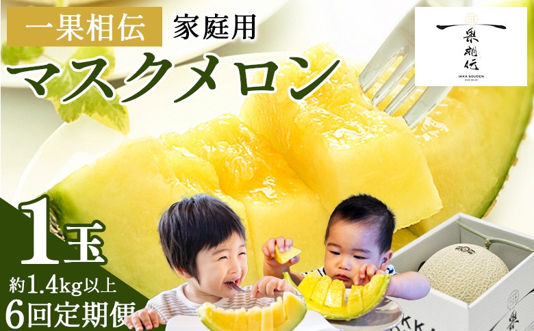 【６回定期便】一果相伝マスクメロン 家庭用 1玉入り- めろん 青肉 自宅用 ジューシー 果汁 至福 美味しい 甘い あまい 篤農 産地直送 高知県 香南市 常温 Wtn-0039