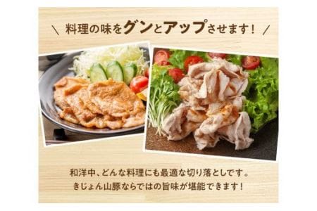 豚肉 宮崎県産 ブランド豚 切り落とし 3.5kg　豚肉