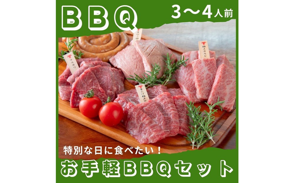 
                  【選べる発送月】広島牛お手軽BBQセット 3～4人前
                