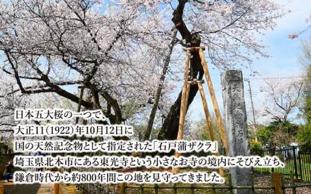 帯留 桜 七宝 | 着物 帯留め Kenichi Kondo
