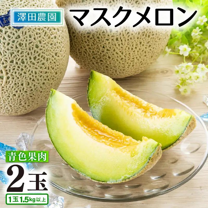 【先行予約】青肉マスクメロン（1.5kg以上 2玉入）味も見た目も抜群！アールスメロン  / あわら 期間限定 果物 フルーツ 産地直送 青肉 人気 ギフト 贈答 ※2026年7月上旬より順次発送  [aw039-a005]