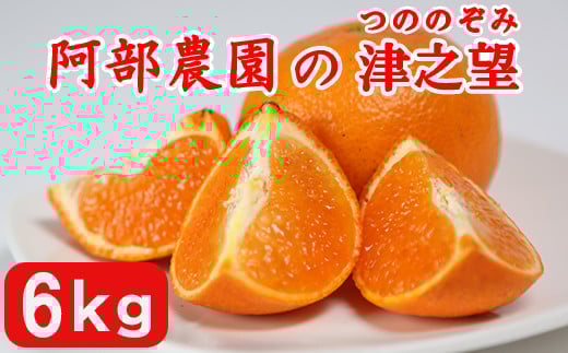 阿部農園の「津之望（つののぞみ） 約6kg」 ／ ミカン みかん 蜜柑 柑橘類 糖度 1月 津之望 先行予約 数量限定 フルーツ ＜112-011_5＞