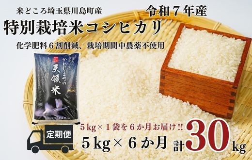 
            定期便６か月【令和7年度産　特別栽培米】埼玉県かわじま町　天領米（コシヒカリ） 5kg×1袋　計30kg
          